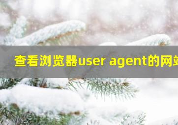 查看浏览器user agent的网站